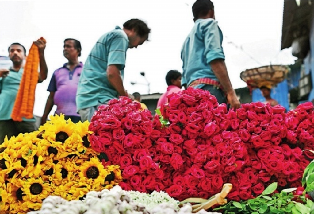 BUSINESS OF MORNING BLOOMS